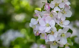 3 фестиваля области Жетісу вошли в cобытийный календарь культурно-туристских мероприятий Министерства туризма и спорта