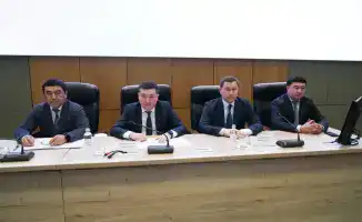 Свет Факела: Борьба с Коррупцией в Квазигосударственном Секторе Туркестана