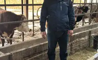 Развитие скотоводства в Отырарском районе: вклад Мухамеддауита Косаева в продовольственную безопасность региона