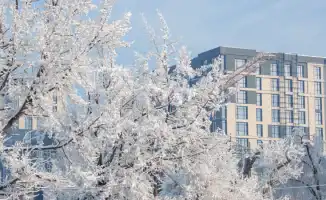 Погодные условия в Астане и Алматы: как снежный циклон и туман влияют на жизнь горожан 20-22 января