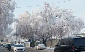 Морозы и снегопады в Астане и Алматы: последствия для жителей и инфраструктуры в ближайшие дни