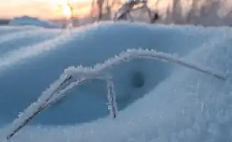 Снежный вихрь: Астана под шапкой снега, Алматы в снежном плену — прогноз погоды на 22-24 января