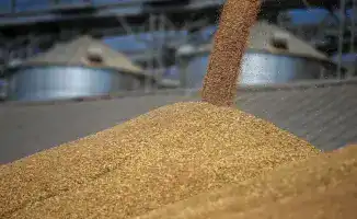 Астык Коймалары увеличила отгрузку зерна на 25%