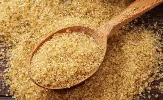 Iskefe Holding закладывает фундамент для нового завода желатина и коллагена в Алматы