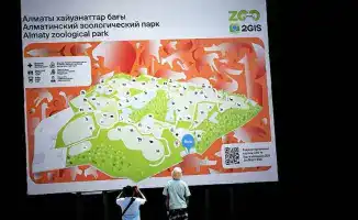 Подарите своей ёлке новую жизнь: Алматинский зоологический парк принимает использованные новогодние деревья