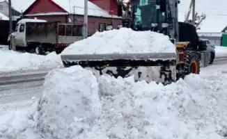 Коммунальные службы Астаны эффективно справляются с снежными заносами, обеспечивая безопасность граждан