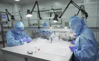 Создание 42 875 новых рабочих мест в Жамбылской области: перспективы для местных жителей