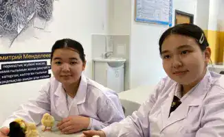 В Астане школьники самостоятельно вывели цыплят из инкубатора