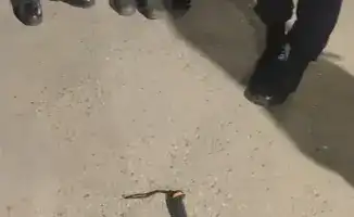 Задержание мужчины с холодным оружием в Конаеве: действия Национальной гвардии как мера предотвращения правонарушений