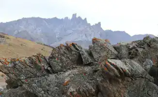 В ТУРКЕСТАНСКОЙ ОБЛАСТИ ВЕДЕТСЯ РАБОТА ПО СОХРАНЕНИЮ КУЛЬТУРНОГО НАСЛЕДИЯ И ЕГО ВКЛЮЧЕНИЮ В СПИСОК ЮНЕСКО