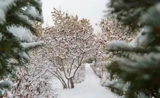 Холодная волна с температурой до -32°C и снегопад ожидается в Астане и Алматы: синоптики представили прогноз на 16-18 января