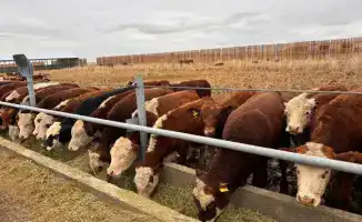 Развитие предпринимательства в Аксуатском районе: новые объекты создают рабочие места и стимулируют экономику