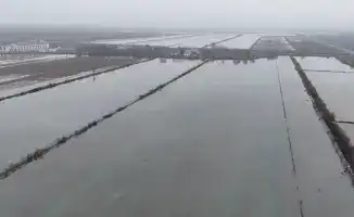 Промывка почвы на 100 тыс. га в Туркестанской области: шаг к улучшению состояния орошаемых земель