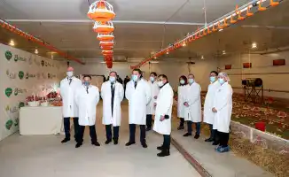 Макинская птицефабрика: надежность, высокое качество и развитие производства