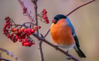 Синоптики Казгидромета представили прогноз погоды на 6, 7 и 8 января, ожидая потепление в некоторых регионах Казахстана, в то время как в других возможны морозы.