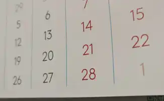 Февральские развлечения и экологические проблемы: свежие новости Казахстана