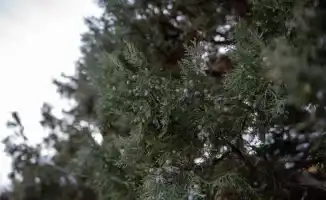 Погода в Казахстане: Зимний вальс облаков и морозных ветров в Астане, Алматы и Шымкенте с 3 по 5 января