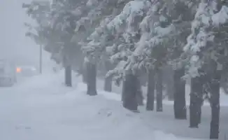 Снегопад в Казахстане: зимняя сказка на выходные!
