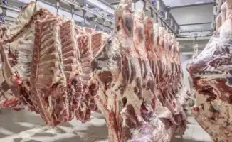 В Министерстве сельского хозяйства Казахстана разъяснили порядок применения новых ограничений на вывоз мяса крупного рогатого скота. Ограничения введены в связи с необходимостью контроля за внутренним рынком и обеспечением продовольственной безопасности с