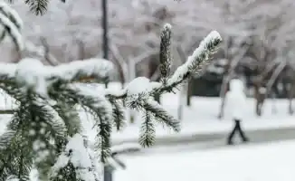 Алматы готовится к резкому похолоданию: синоптики прогнозируют морозы