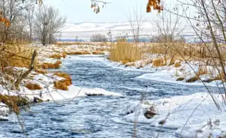 Тепло в Казахстане: температура поднимется до +13 градусов
