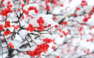 Снегопад сменится морозами: Казахстан готов к испытаниям