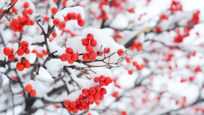 Снегопад сменится морозами: Казахстан готов к испытаниям Астане