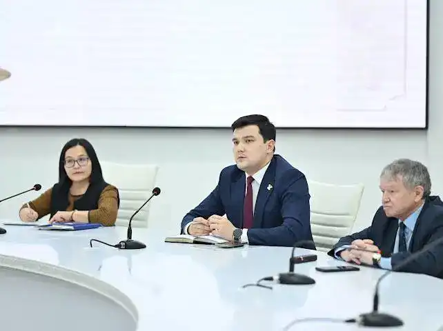 К. Жубанова: Обсуждение конституционных реформ Астане