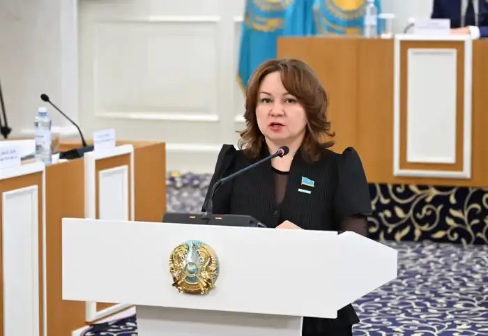 Снежанна Имашева предлагает четко определить переходные положения новой Конституции Казахстана Астане