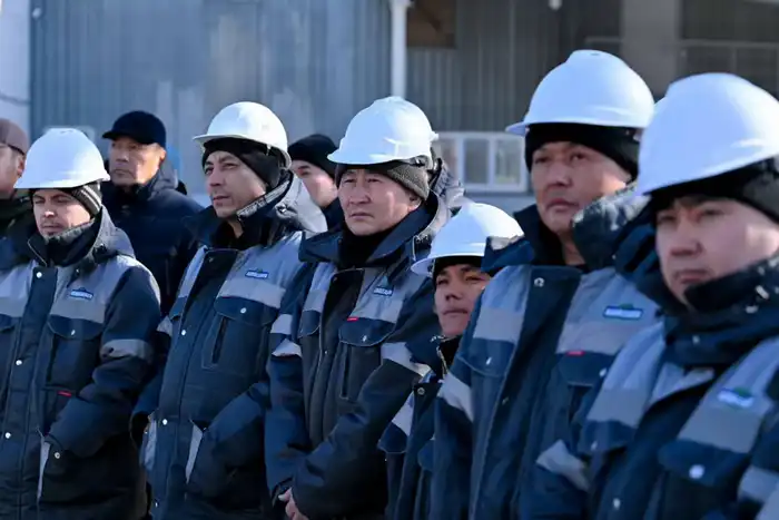 В области Абай открыт завод по переработке бобовых и масличных культур (2)