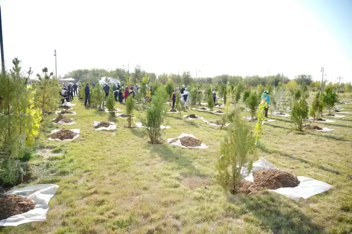 «ТАЗА КАЗАХСТАН»: В ПРОШЛОМ ГОДУ В ТУРКЕСТАНСКОЙ ОБЛАСТИ ВЫСАЖЕНО БОЛЕЕ 1 МЛН САЖЕНЦЕВ (2)