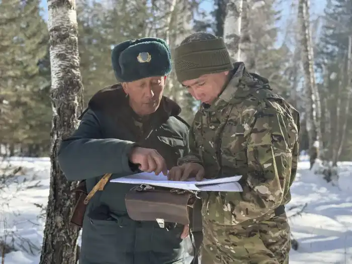 Забота о дикой природе зимой (2)