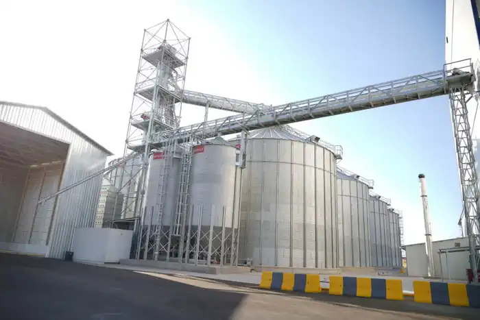 Туркестанская область Казахстана достигла рекорда по экспорту мяса, отправив за рубеж более 60 тысяч тонн. Астане