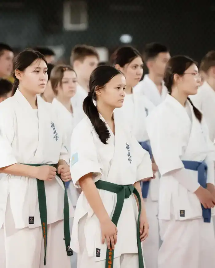 Участие более 600 атлетов в турнире по кёкушин будокай каратэ в Астане подчеркивает растущий интерес к этому виду спорта в Казахстане Астане