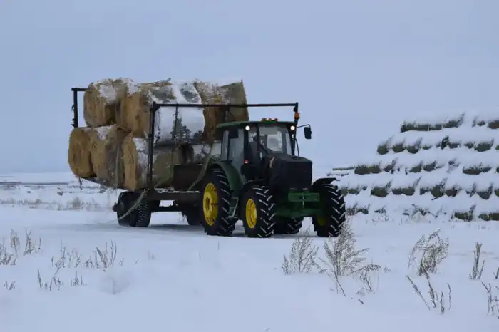 Животноводство в Сандыктауском районе: новые перспективы Астане