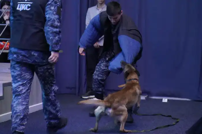 Влияние звезд КВН на молодежь: как интерактивные акции против наркотиков формируют здоровый образ жизни Астане