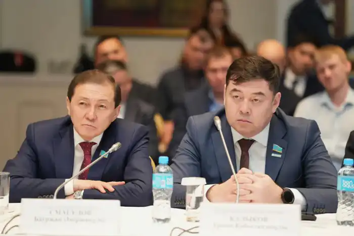 Минэнерго РК представило проект Нацплана по развитию угольной генерации: 7,6 ГВт новых и модернизированных мощностей (7)