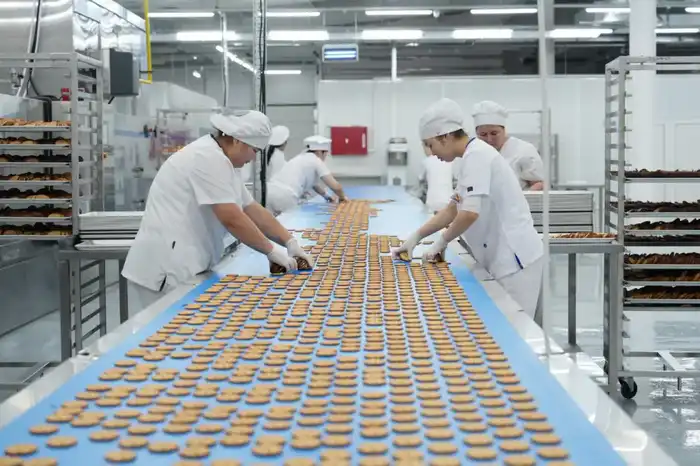 В Кызылординской области обсуждено взаимодействие госорганов по вопросу привлечения инвестиций в экономику региона (5)