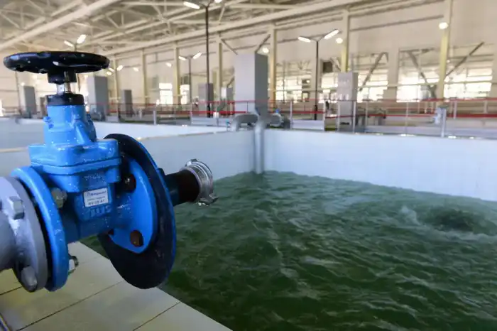 Цифровизация ЖКХ в Алматы: влияние на качество жизни и взаимодействие горожан Астане