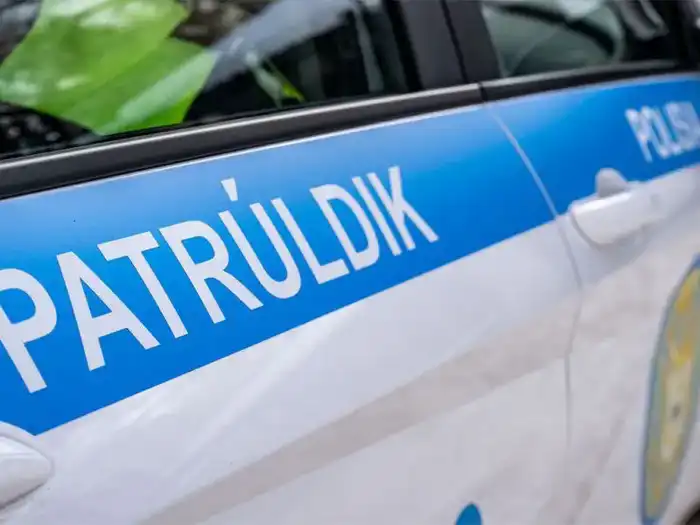 Как обеспечивается безопасность движения на дорогах столицы (3)