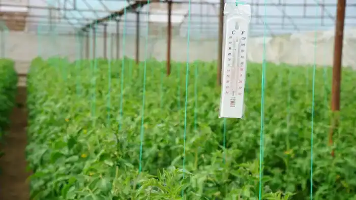 ТУРКЕСТАН: В ОРДАБАСИНСКОМ РАЙОНЕ ПЧЕЛЫ СТАНОВЯТ САДОВОДОВ НА ПУТЬ УСПЕХА Астане