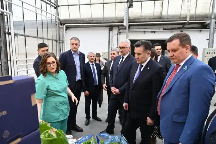 Теплица 'Алтайское': Оазис зелени в сердце Барнаула для делегации ВКО Астане