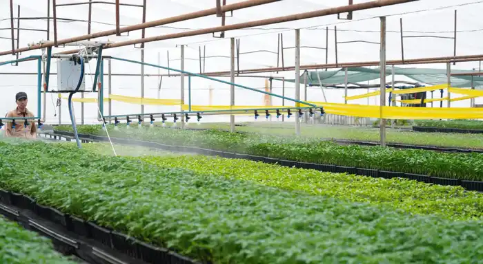 Успехи Туркестанской области в внедрении водосберегающих технологий способствуют устойчивому развитию сельского хозяйства и экономии водных ресурсов Астане