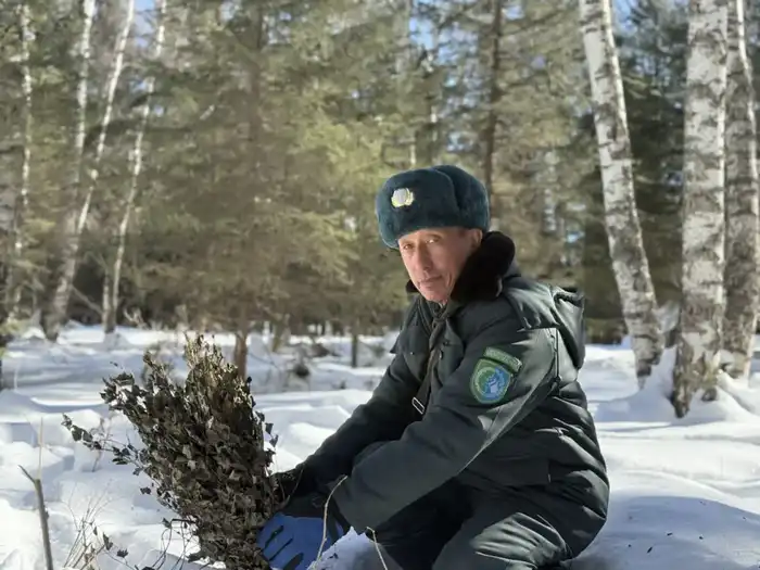 Поддержка диких животных в зимний период: влияние биотехнических мероприятий на экосистему Катон-Карагайского парка Астане