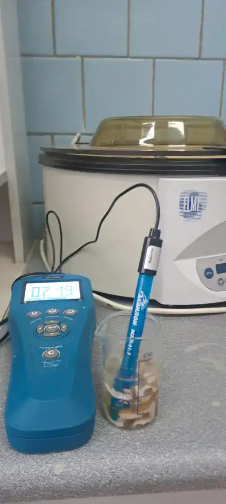 Ученые разрабатывают инновационную технологию сохранения шкур КРС (7)