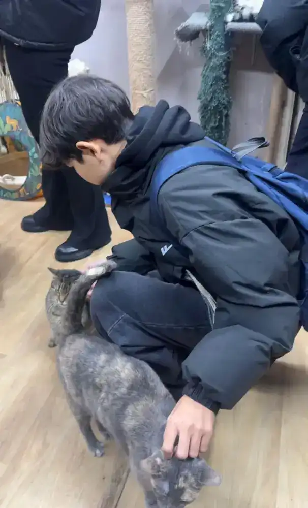 Астанинские школьники помогают животным в приюте Астане