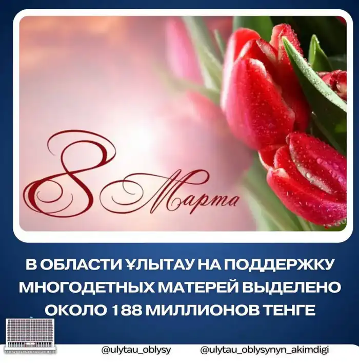 В области Ұлытау многодетным матерям выделено 187,5 миллионов тенге на социальную помощь Астане