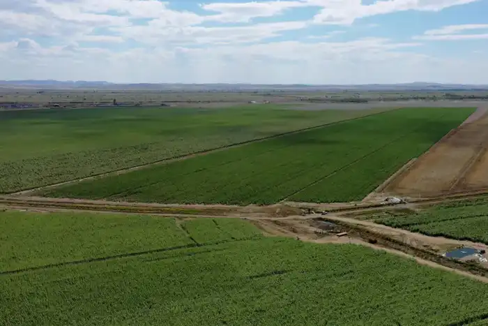 В области обсудили поддержку агропромышленного комплекса и стабилизацию цен на социально значимые продукты питания (10)