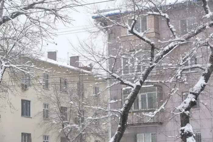 В Алматы напомнили об ответственности за уборку наледи и снега (3)