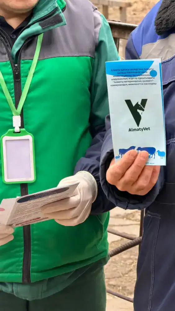 В Алматы бесплатно вакцинируют сельскохозяйственных животных (5)